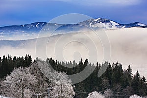 Hill, Arber (Germany), Cloudes and trees, winter landscape in Å umava in Å½eleznÃ¡ Ruda, czech republic